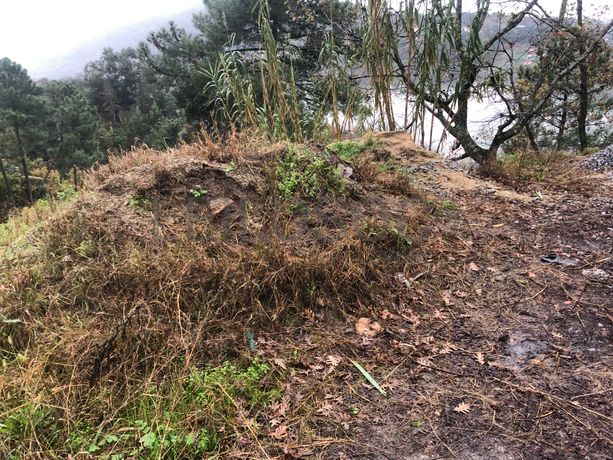 Terreno · Resende, Viseu