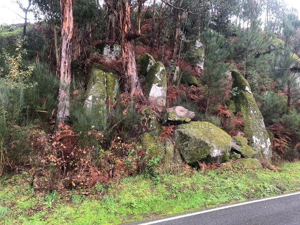 Terreno · Resende, Viseu