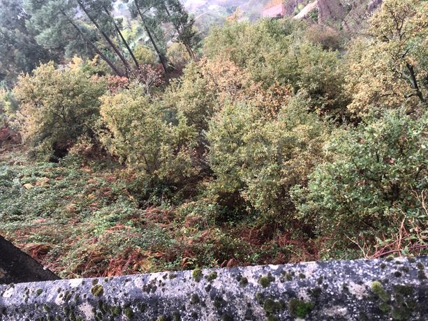 Terreno · Resende, Viseu