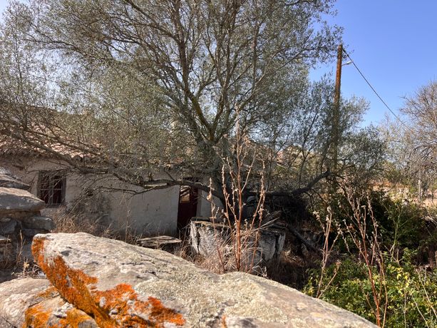 Moradia para Recuperação · Mértola