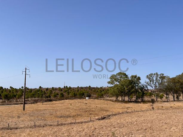 Proporção de 1/2 de Terreno · Mértola