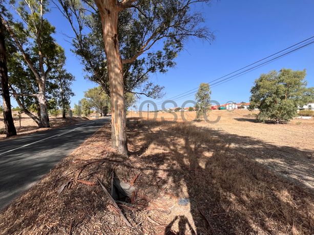 Proporção de 1/2 de Terreno · Mértola