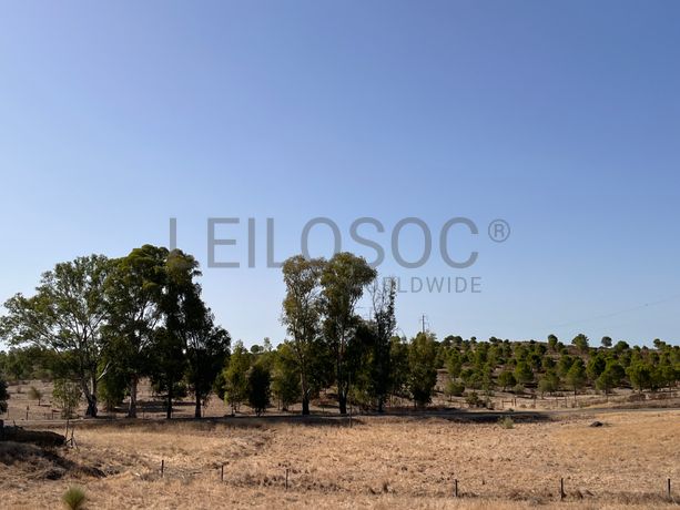 Proporção de 1/2 de Terreno · Mértola