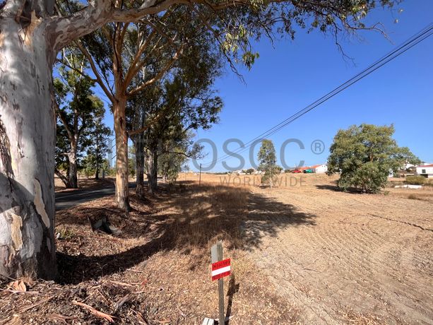 Proporção de 1/2 de Terreno · Mértola