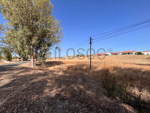 Proporção de 1/2 de Terreno · Mértola