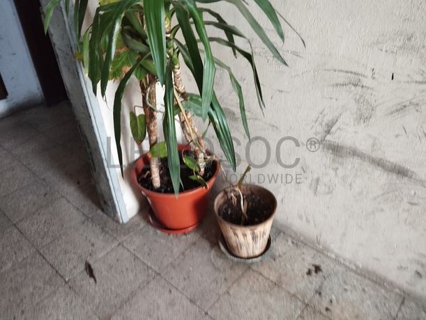 Equipamento de Escritório