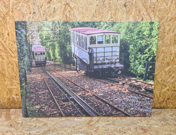 Tela Elevador do Bom Jesus de Braga