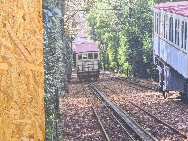 Tela Elevador do Bom Jesus de Braga