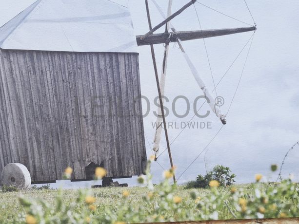 Tela Moinho de Vento da Melriça, Ansião