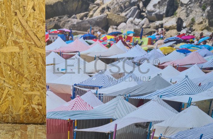 Tela Praia da Nazaré