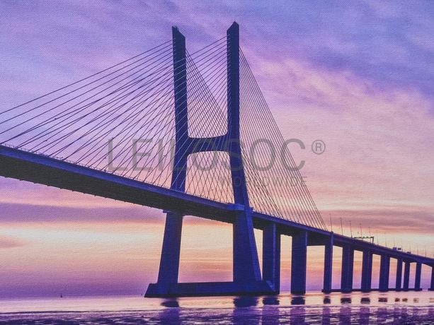 Tela Ponte Vasco da Gama