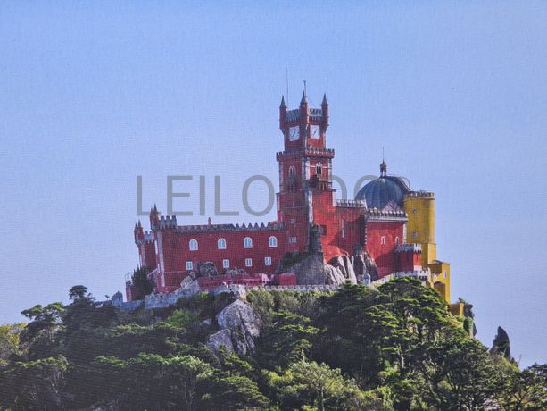 Tela Palácio Nacional da Pena