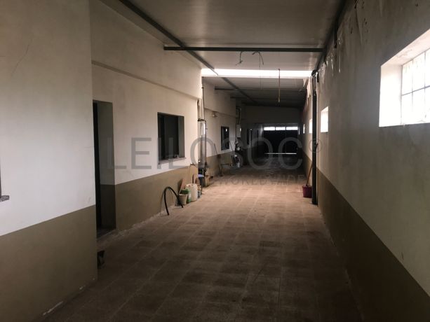 Moradia V3 c/ Terreno · Estarreja