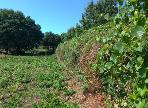 Lote para Construção · Venade, Caminha