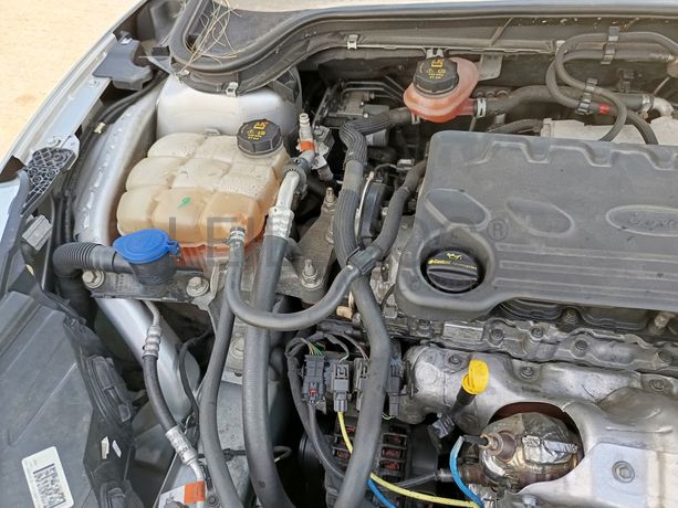 Ford Focus · Ano 2019