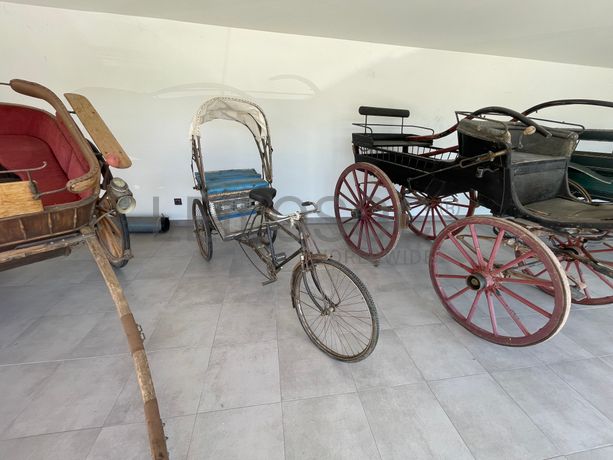 Charrete / Bicicleta