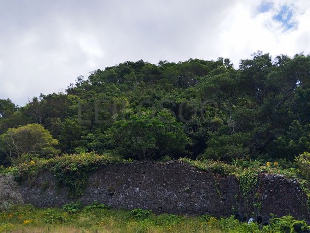 Terreno · 6,538 ha · Ponta Delgada, Arquipélago dos Açores