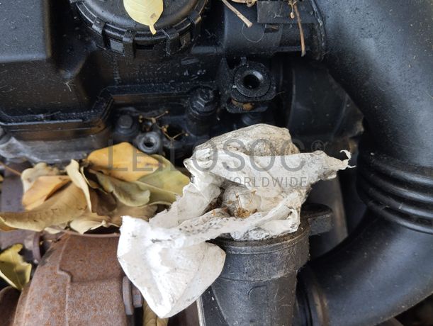 Citroën C4 · Ano 2010