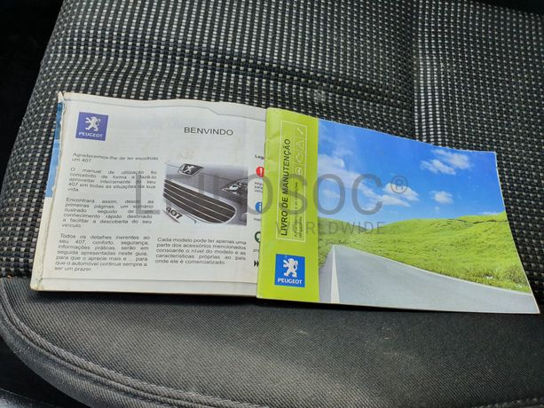 Peugeot 407 · Ano 2008