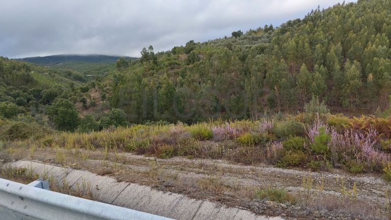 Terreno · Proença-a-Nova