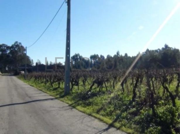 Proporção de 1/2 de Terreno · Anadia