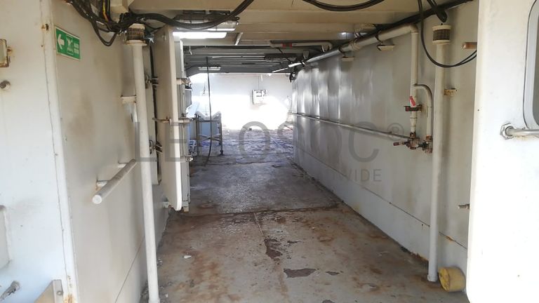 Dois Atuneiros e Um Arrastão | Two Longliners and One Trawler - ALBACARES VII + PELAMIS III + SARDINHA I