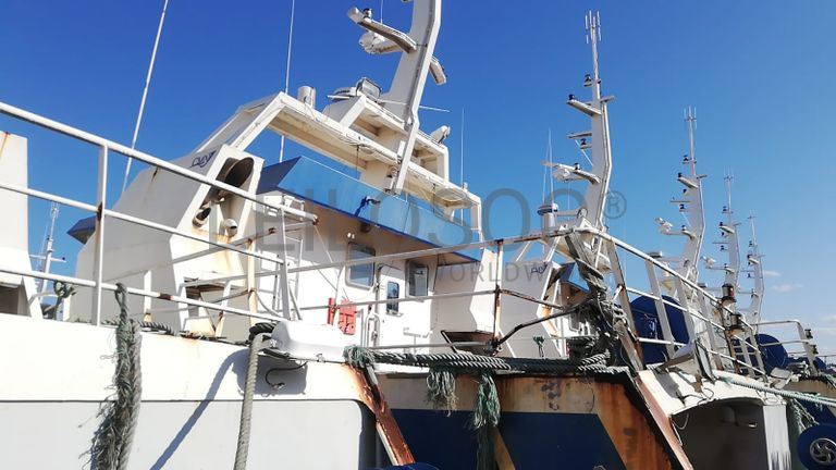 Dois Atuneiros e Um Arrastão | Two Longliners and One Trawler - ALBACARES VII + PELAMIS III + SARDINHA I