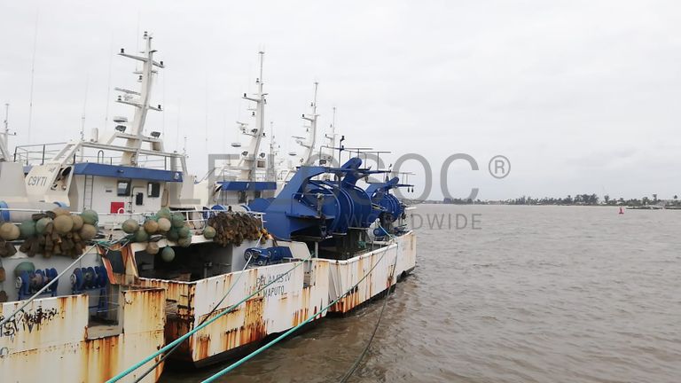 Dois Atuneiros e Um Arrastão | Two Longliners and One Trawler - ALBACARES VII + PELAMIS III + SARDINHA I