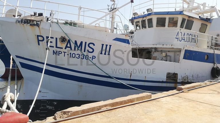Dois Atuneiros e Um Arrastão | Two Longliners and One Trawler - ALBACARES VII + PELAMIS III + SARDINHA I