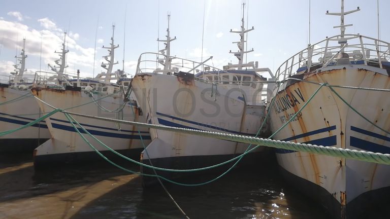 Dois Atuneiros e Um Arrastão | Two Longliners and One Trawler - ALBACARES VII + PELAMIS III + SARDINHA I