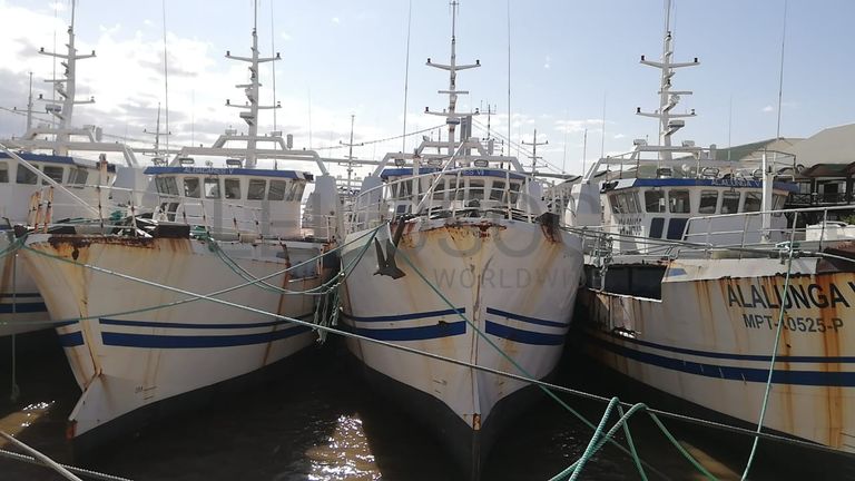 Dois Atuneiros e Um Arrastão | Two Longliners and One Trawler - ALBACARES VII + PELAMIS III + SARDINHA I