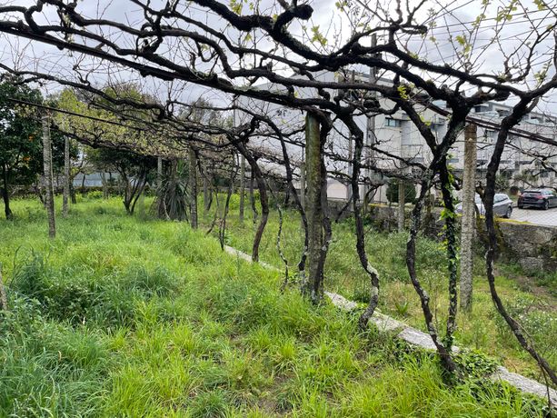 Quinta · Paços de Ferreira