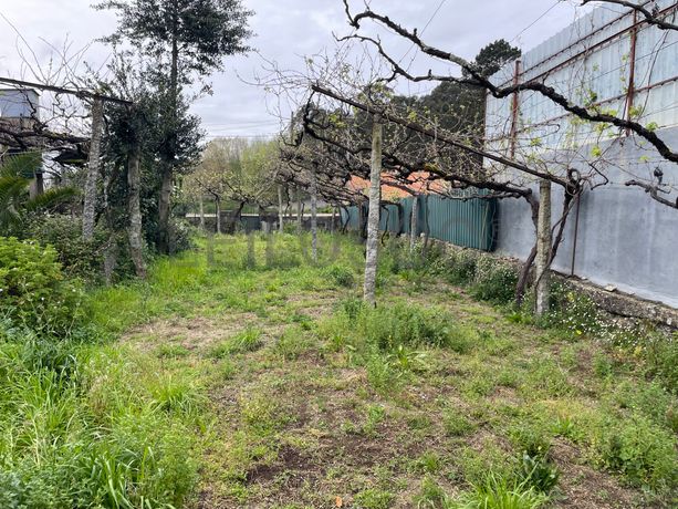 Quinta · Paços de Ferreira