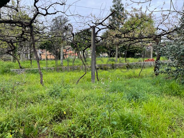 Quinta · Paços de Ferreira