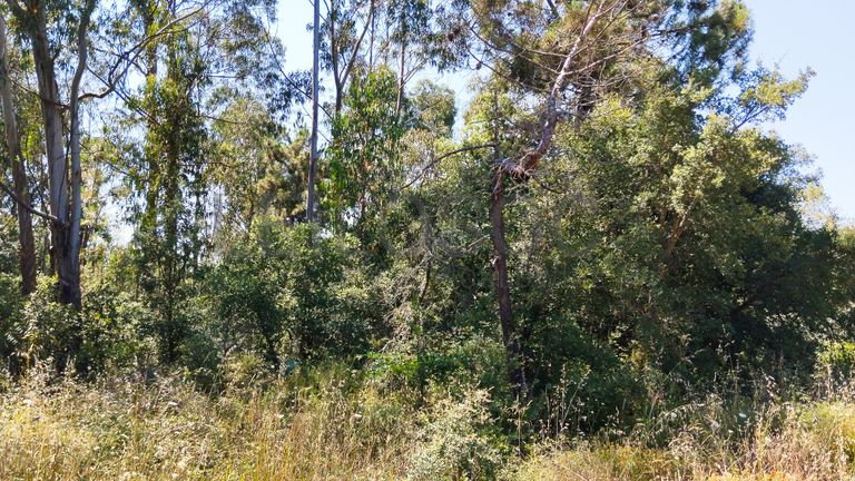 Terreno · Ferreira do Zêzere