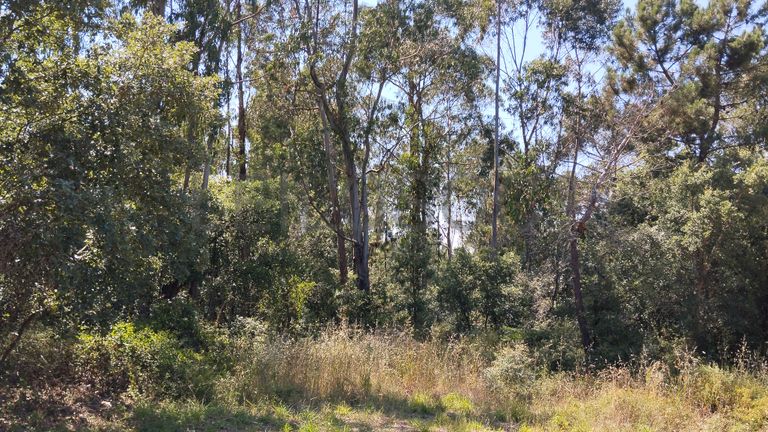 Terreno · Ferreira do Zêzere