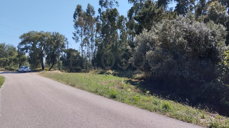 Terreno · Ferreira do Zêzere