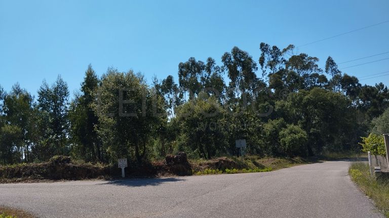 Terreno · Ferreira do Zêzere