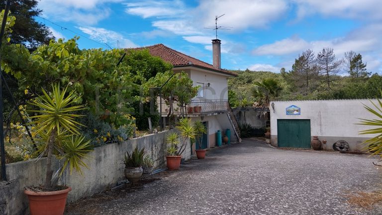 Direito à Meação de Moradia + Terreno · Ferreira do Zêzere