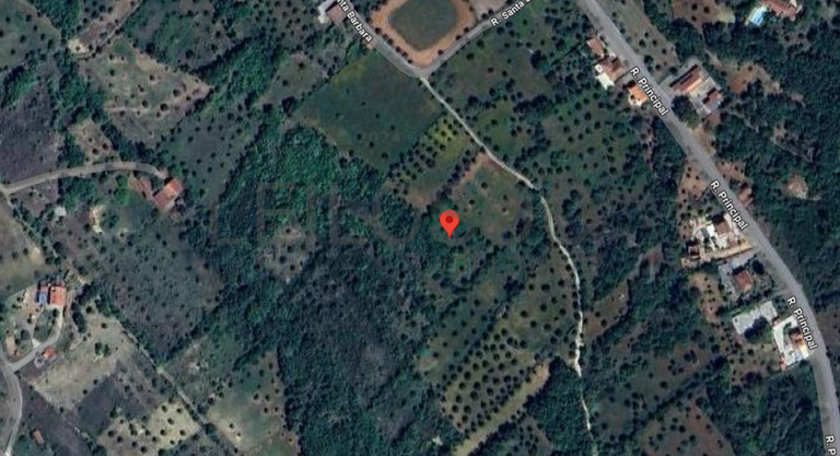 Terreno · Ferreira do Zêzere, Santarém