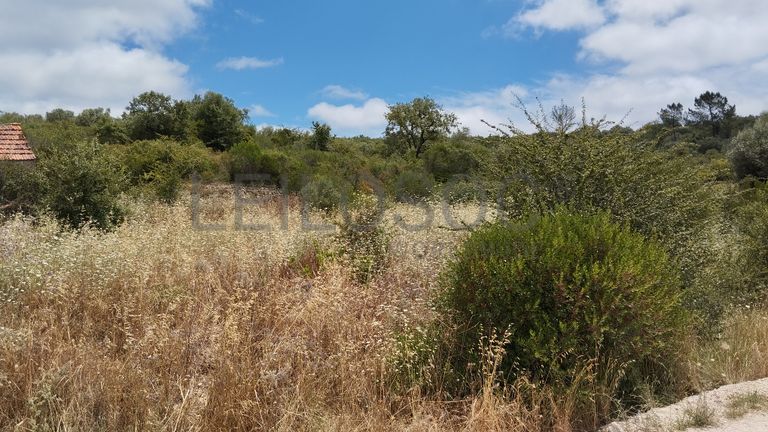 Terreno · Ferreira do Zêzere, Santarém