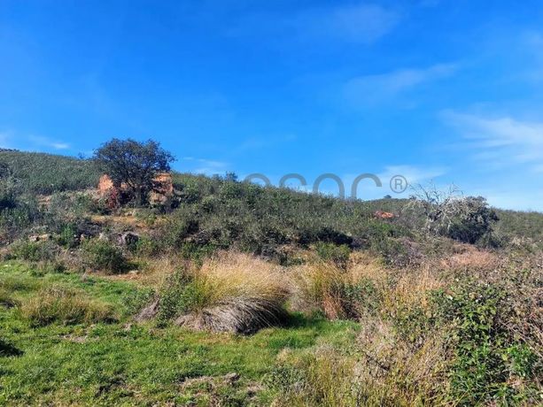 Terreno com 10 Hectares · Mértola