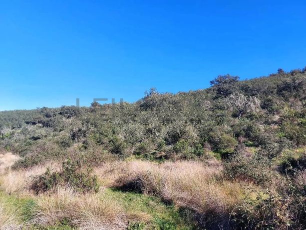 Terreno com 10 Hectares · Mértola