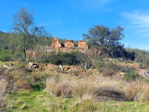 Terreno com 10 Hectares · Mértola