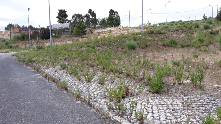 Lote para Construção · Torres Vedras