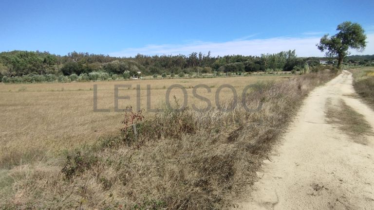 Terreno · Almagreira, Pombal