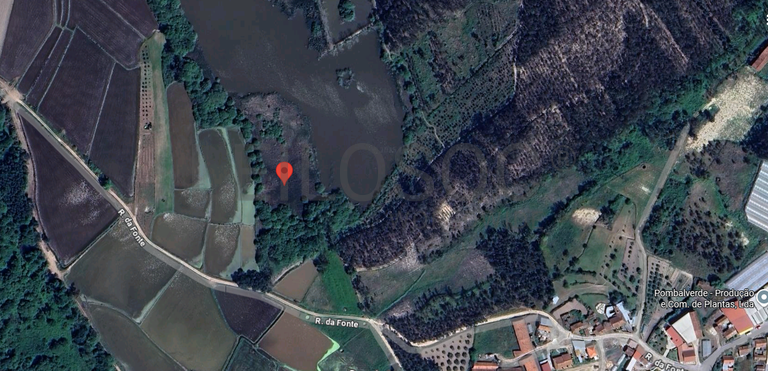 Terreno · Almagreira, Pombal