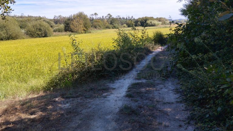Terreno · Almagreira, Pombal