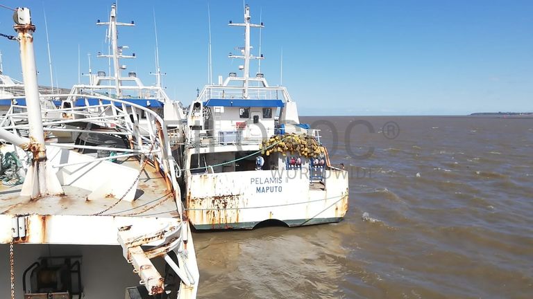 Atuneiro PELAMIS II - Longliner PELAMIS II