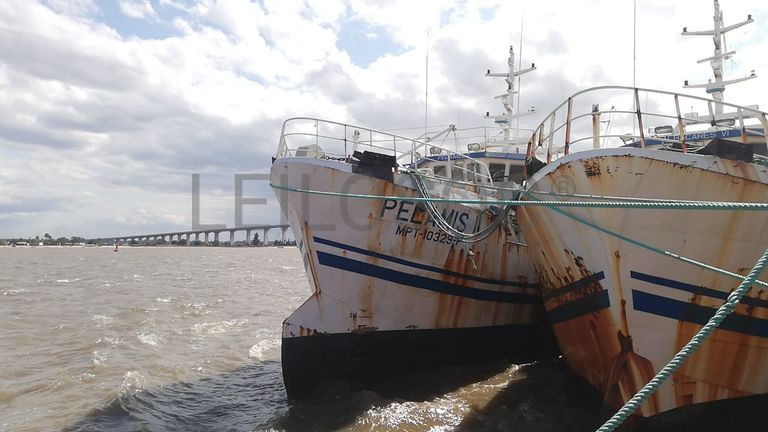 Atuneiro PELAMIS II - Longliner PELAMIS II